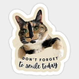 Snickers the smiling cat Sticker